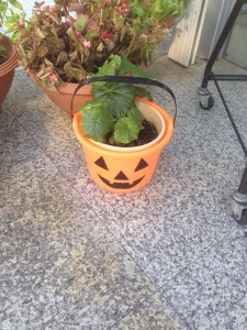 wpid-20151014104502.jpg