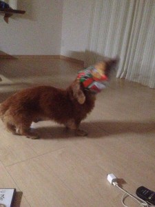 wpid-20160314100807.jpg